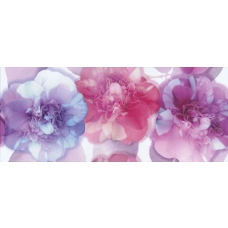 Arco PEONIA 25X60