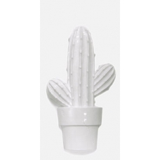 Cactus-A Blanco Brillo 30*60