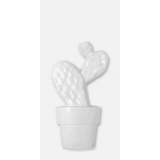 Cactus-C Blanco Brillo 30*60
