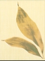 Bambus Beige inserto (листья)