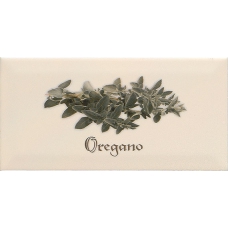 Decor OREGANO Crema 10x20