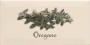 Decor OREGANO Crema 10x20