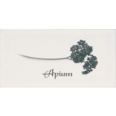 Decor APIUM Blanco 10x20