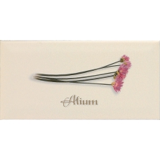 Decor ALIUM Crema 10x20