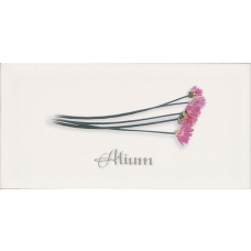 Decor ALIUM Blanco 10x20