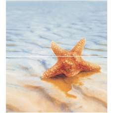 Dec Starfish 1 Panno (панно из 2шт) 50х45