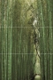 Bambu Панно (из 3-х плиток) D/E/F 50х75