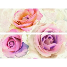 Decor Joy Roses 50x70 (2шт)