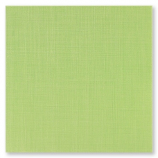 DE99 Pav.FRESH MENTA 33x33 26539