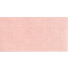 Miami Rosa 25x50