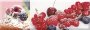 Decor Candy Fruits 04 10x30