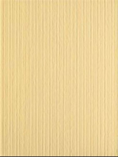 Samba Yellow WARKA071 25*33